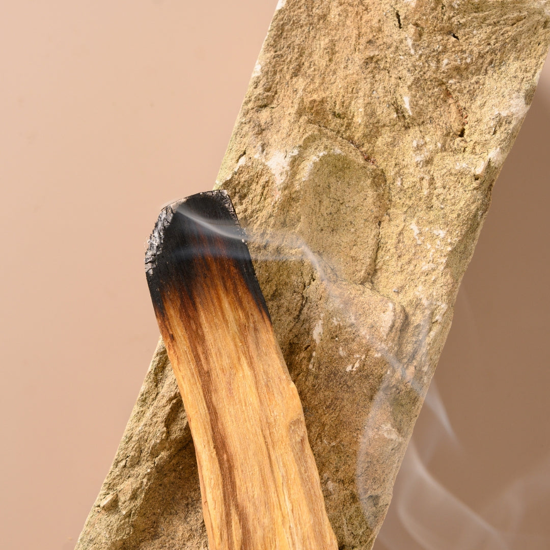 Palo santo – wszystko, co warto o nim wiedzieć.
